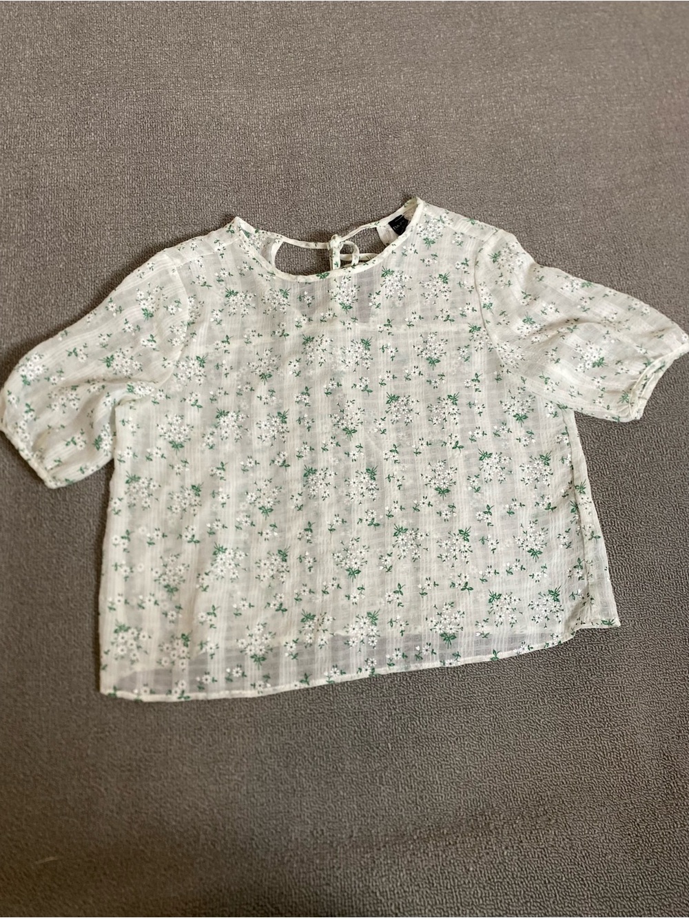 Dazy Sheer Floral Blouse- Spring Cottagecore Whimsy Feminine